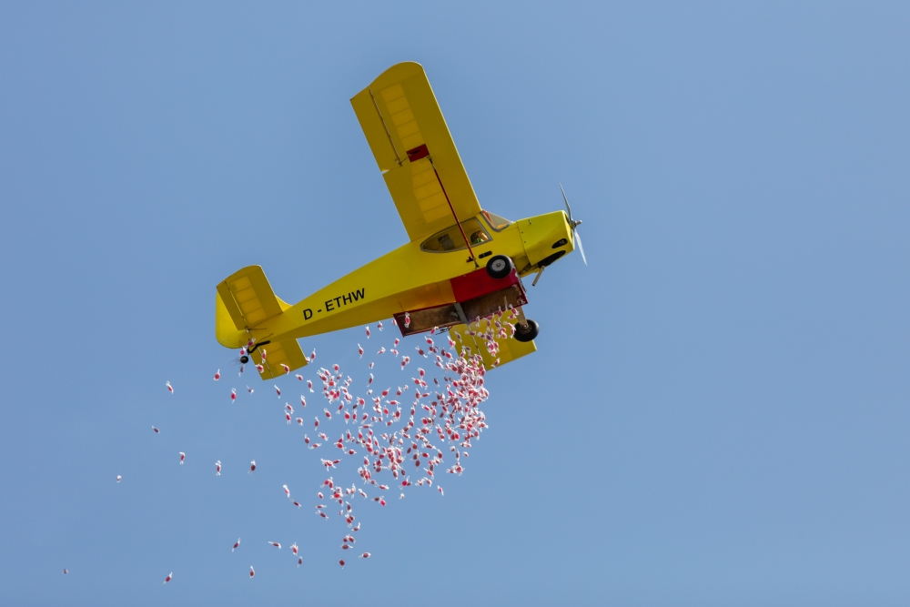 www.flugtag-sinsheim.de